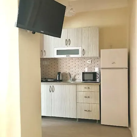 Comfortable Family With Kitchen *